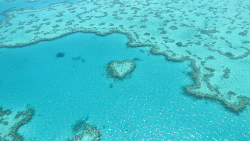 How to Decorate Your Home Like Australia’s Great Barrier Reef